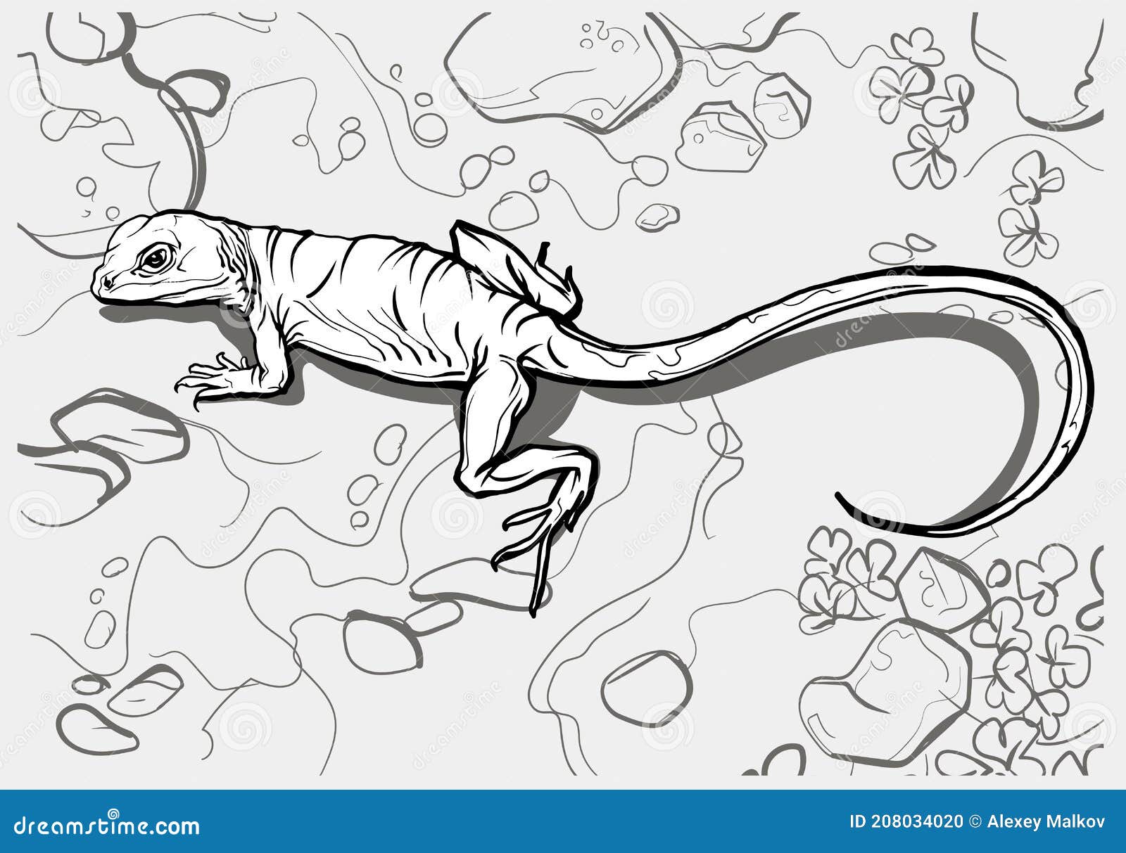 A beautiful long lizard reptile coloring page for children and adults hand drawn illustration a size stock vector