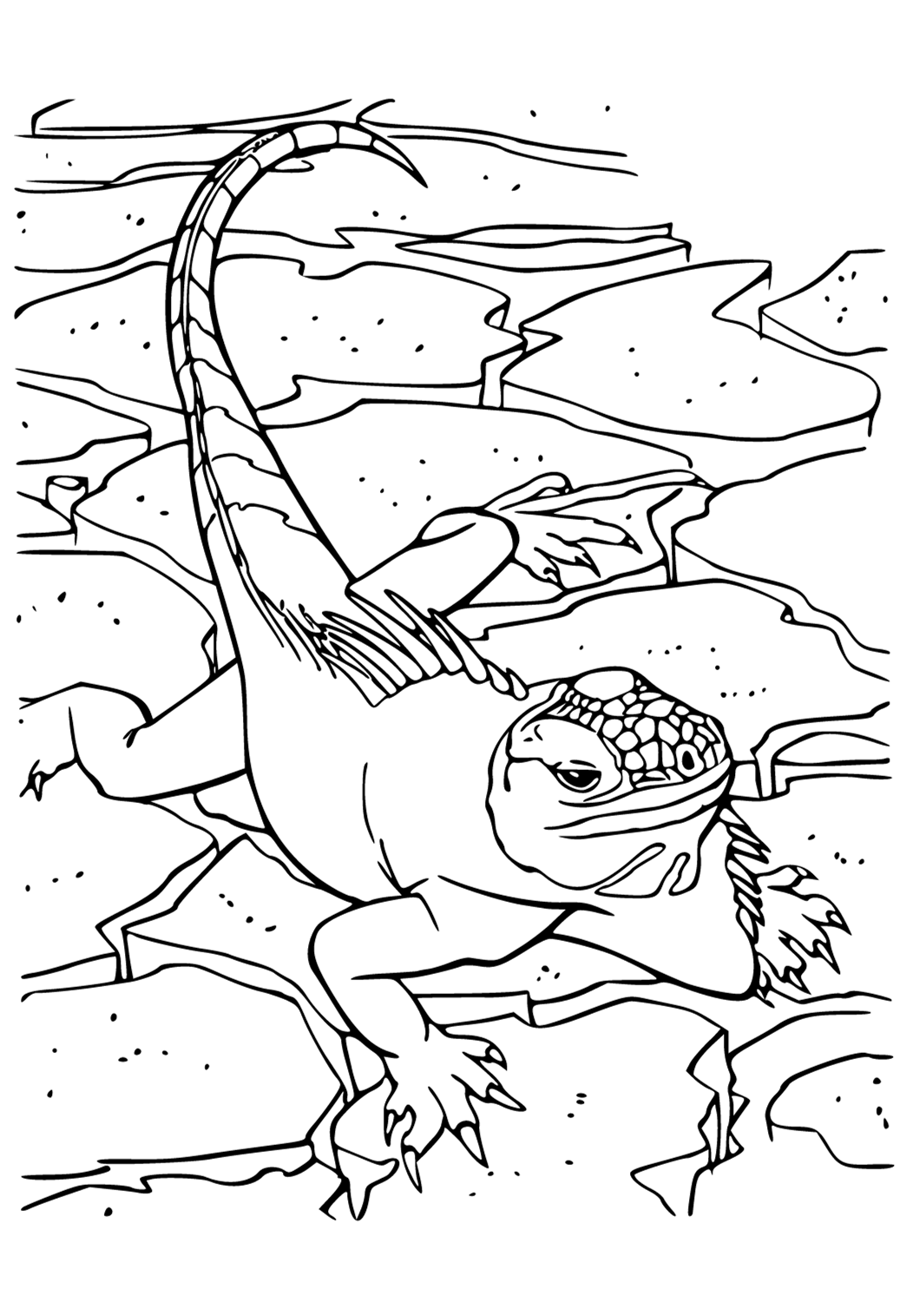 Free printable reptile desert coloring page for adults and kids