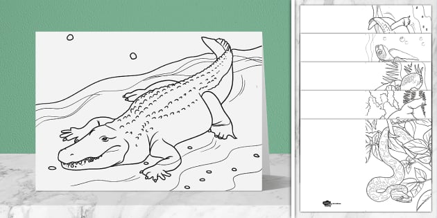 Reptile louring cards party teacher made