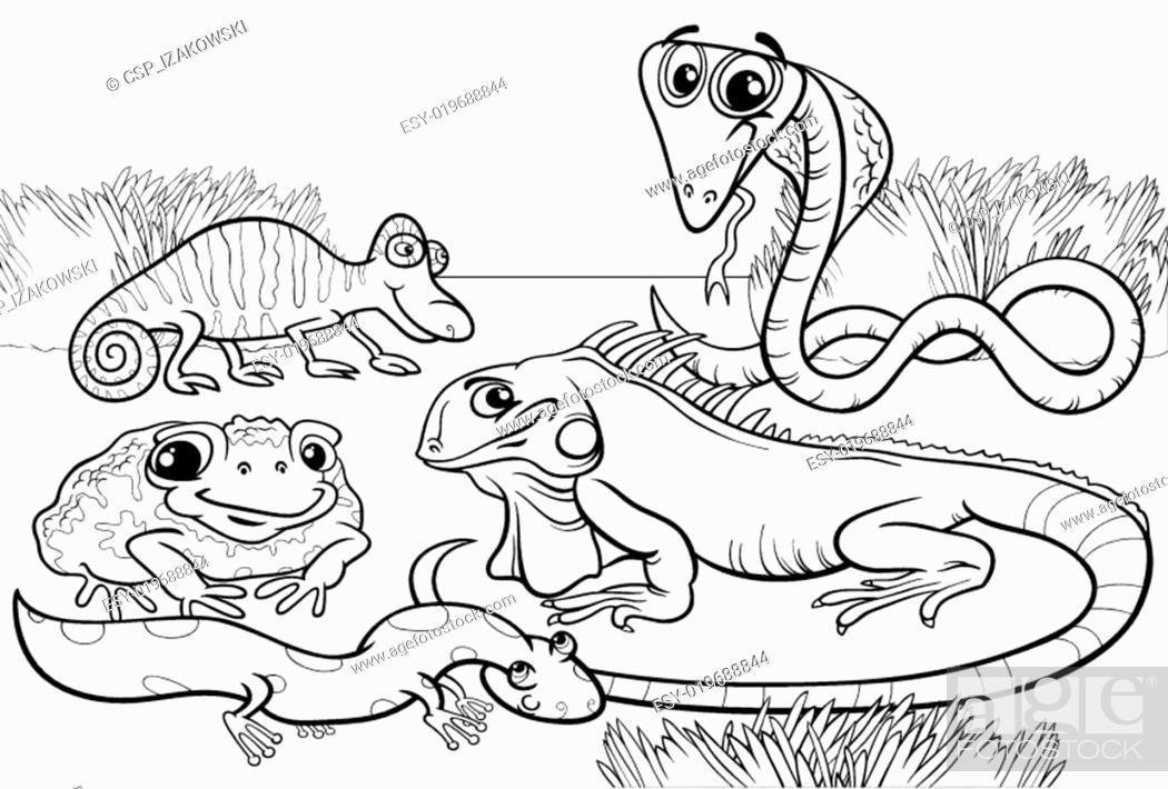Reptiles and amphibians coloring page stock vector vector and low budget royalty free image pic esy