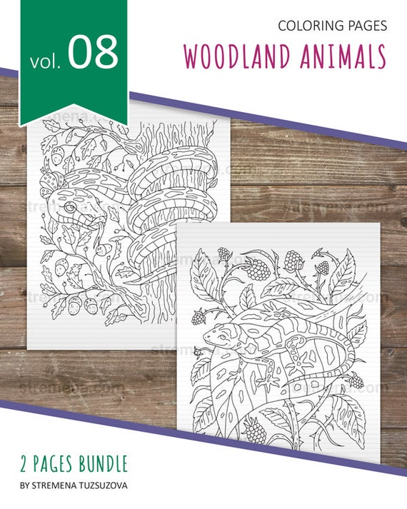 Reptiles printable coloring pages snake and lizard