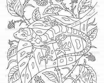 Reptiles printable coloring pages snake and lizard