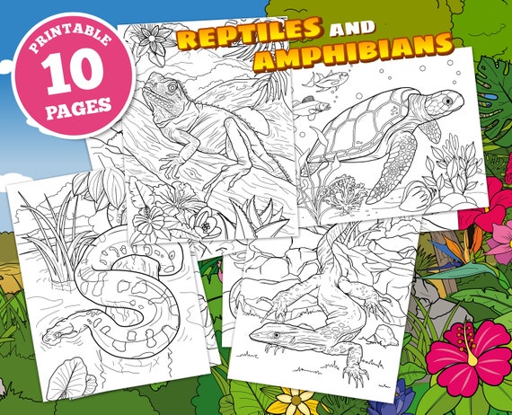 Reptiles and amphibians digital coloring pages for kids lizards snakes printable pdf instant download animal art reptile chameleon