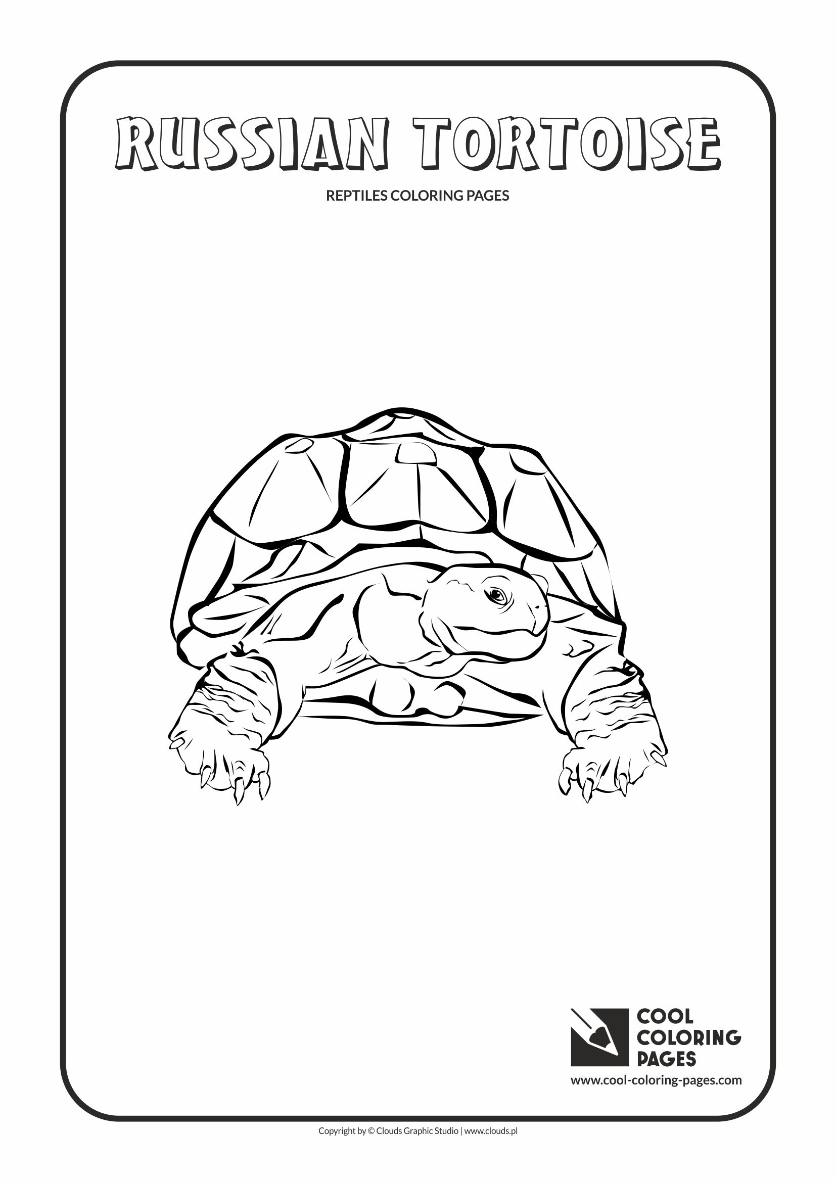 Cool coloring pages amphibians and reptiles coloring pages