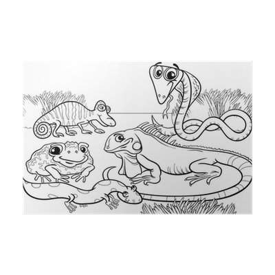 Poster reptiles and amphibians coloring page