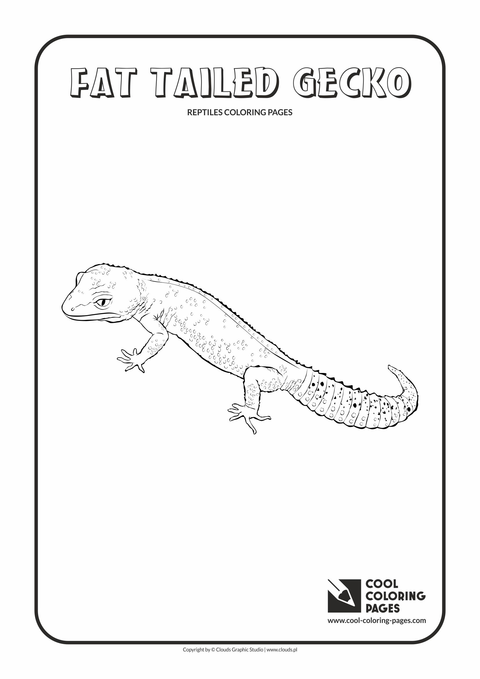 Cool coloring pages amphibians and reptiles coloring pages
