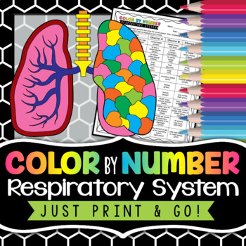 Respiratory system color by number