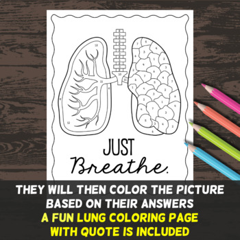 Respiratory system color by number