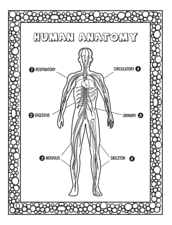 Coloring bookhuman anatomy
