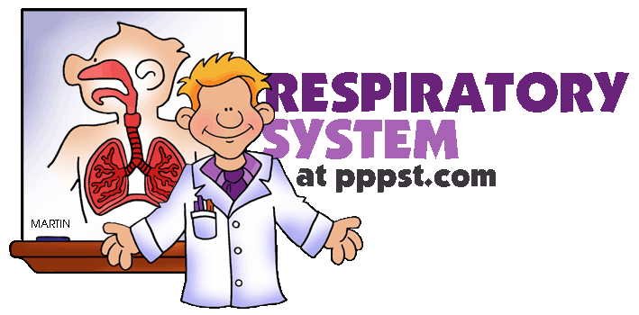 Free powerpoint presentations about human respiratory system for kids teachers k