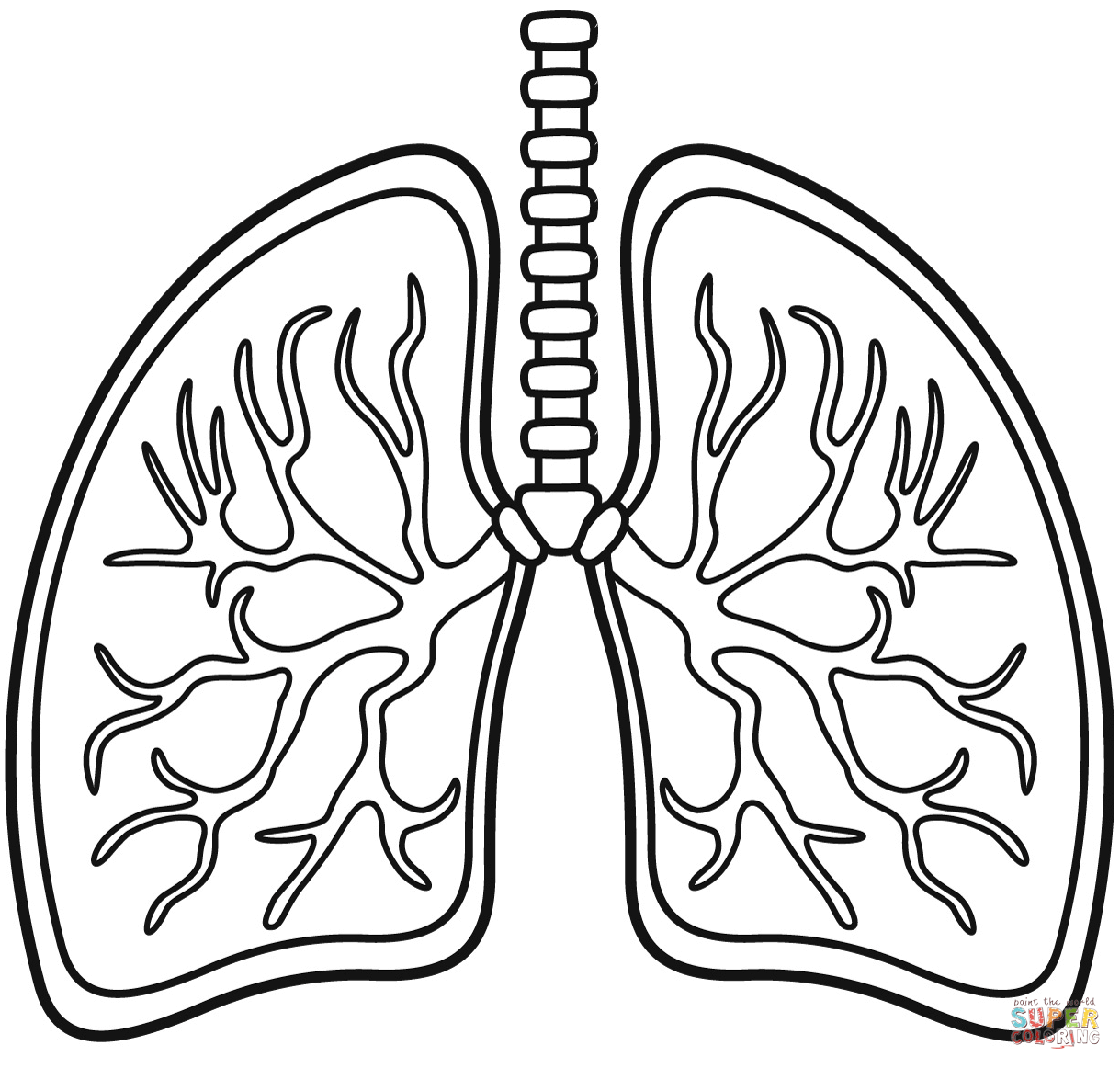 Lungs coloring page free printable coloring pages