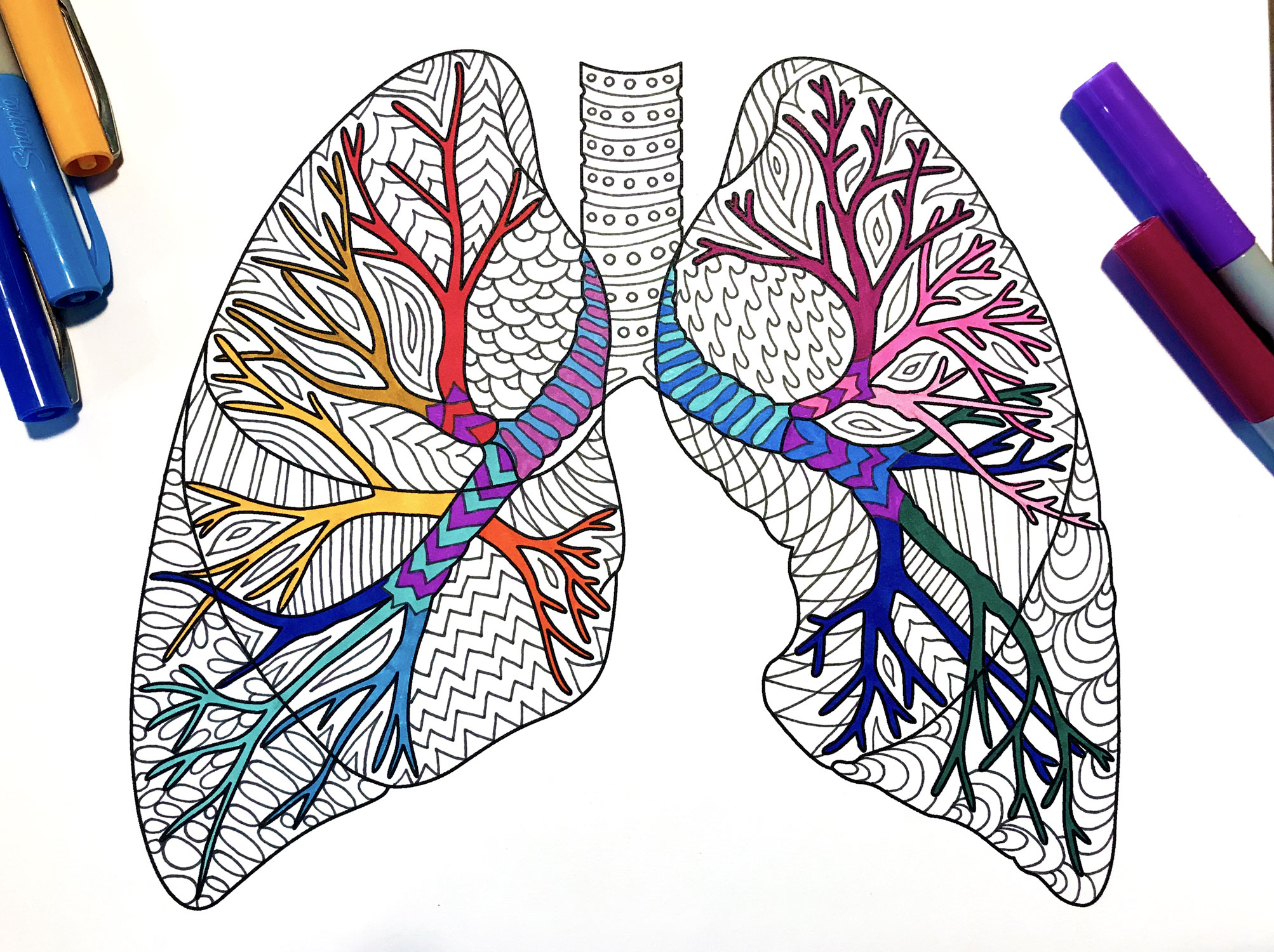 Lungs â human anatomy â pdf zentangle coloring page â scribble stitch
