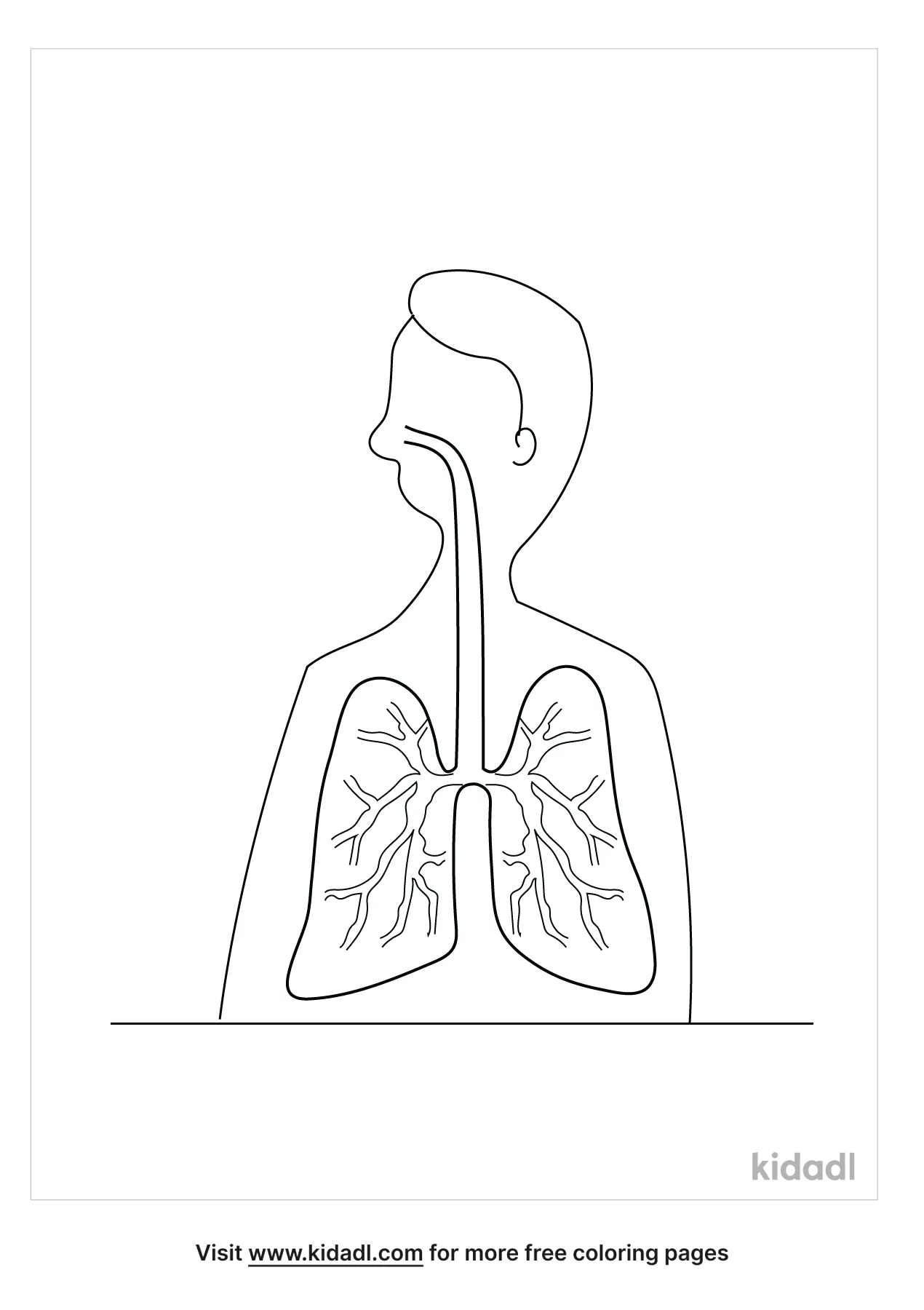 Free lungs coloring page coloring page printables