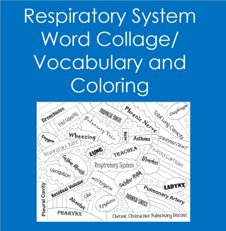 Respiratory system word collage vocabulary coloring anatomy biology made by teachers