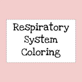 Respiratory system coloring google doc by miss shaheens science store