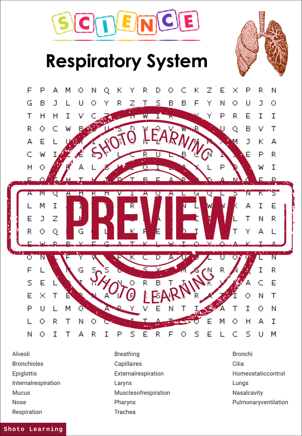 Respiratory system science activity bundle word find scramble words vocabulary â shoto learning english math science worksheets