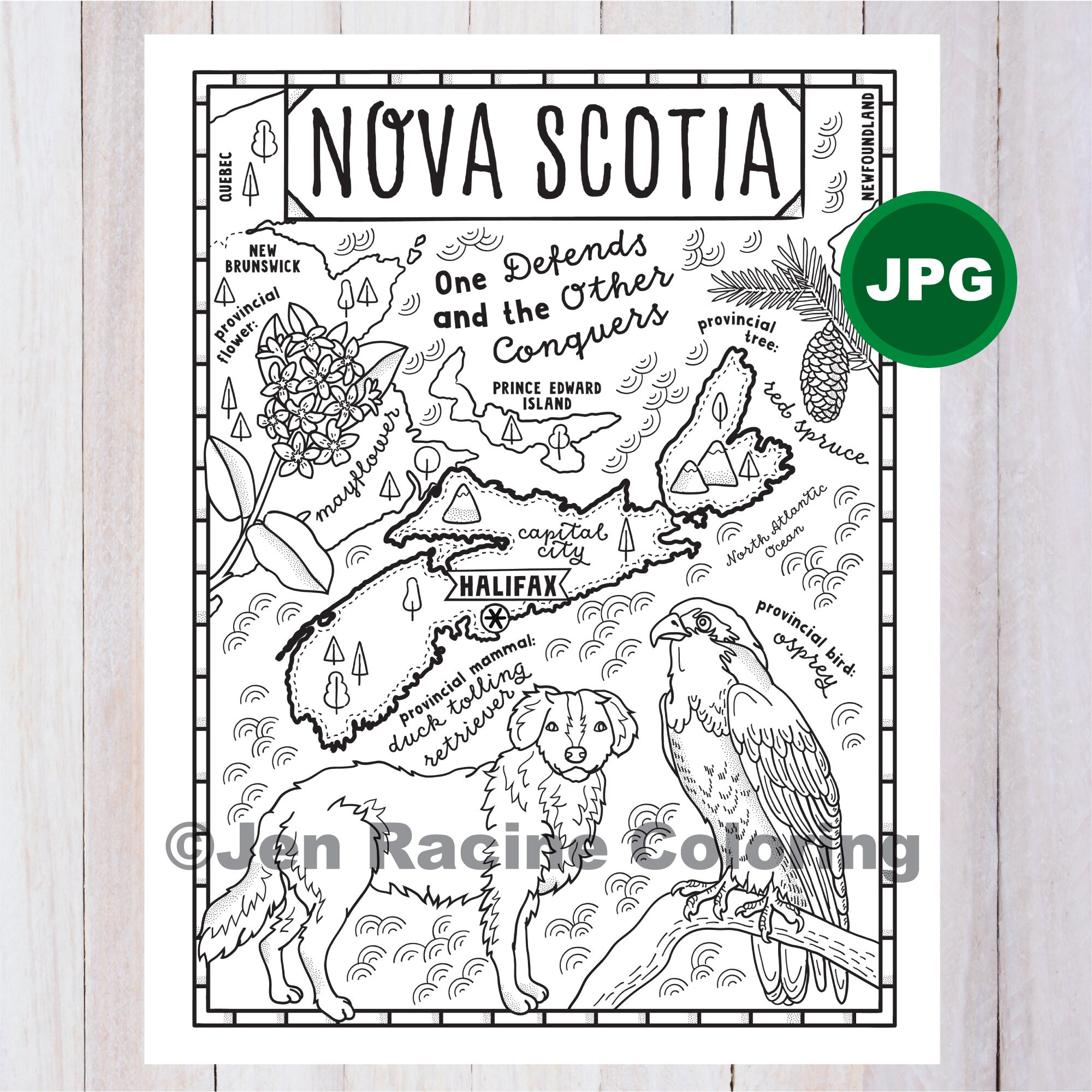 Pãgina para colorear de nueva escocia canadã provincia mapa provincial vida silvestre sãmbolos flores pãgina para colorear jpg descargar
