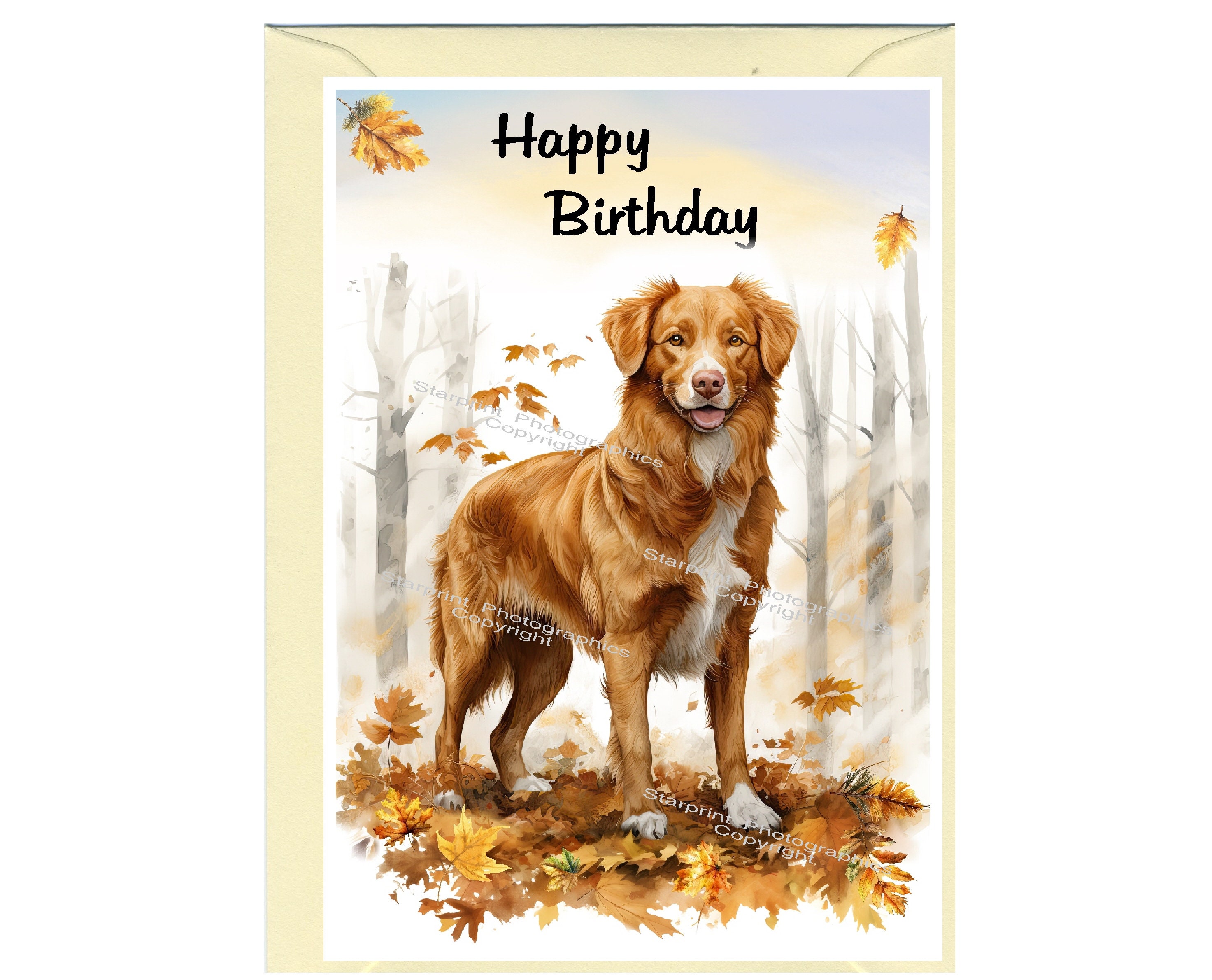 Nova scotia duck tolling retriever dog toller feliz cumpleaãos tarjeta x con sobre espacio en blanco dentro para tu propio mensaje