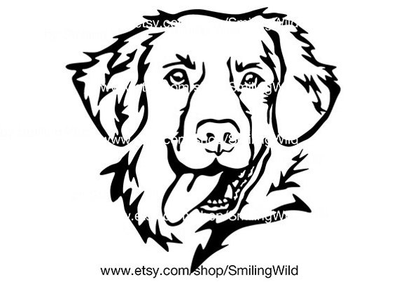 Toller perro svg clipart retrato cabeza nova scotia duck tolling retriever cortar archivo cricut toller vector arte grãfico