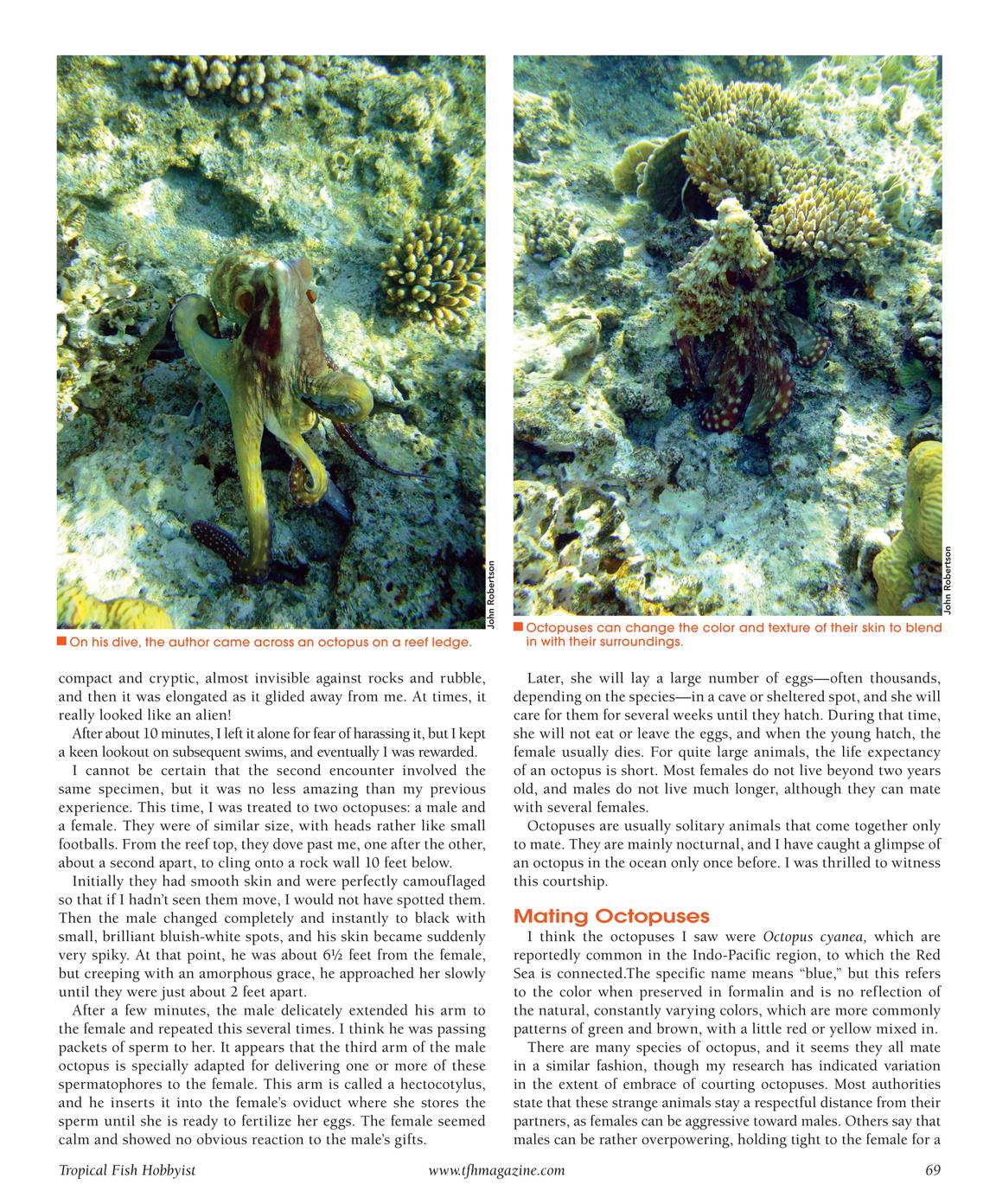 Tropical fish hobbyist