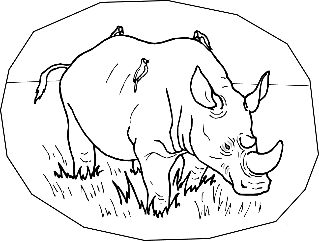 Free printable rhinoceros coloring pages for kids