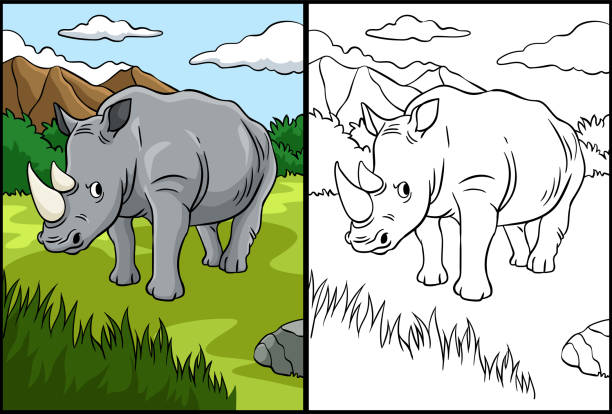 Rhino coloring page stock illustrations royalty