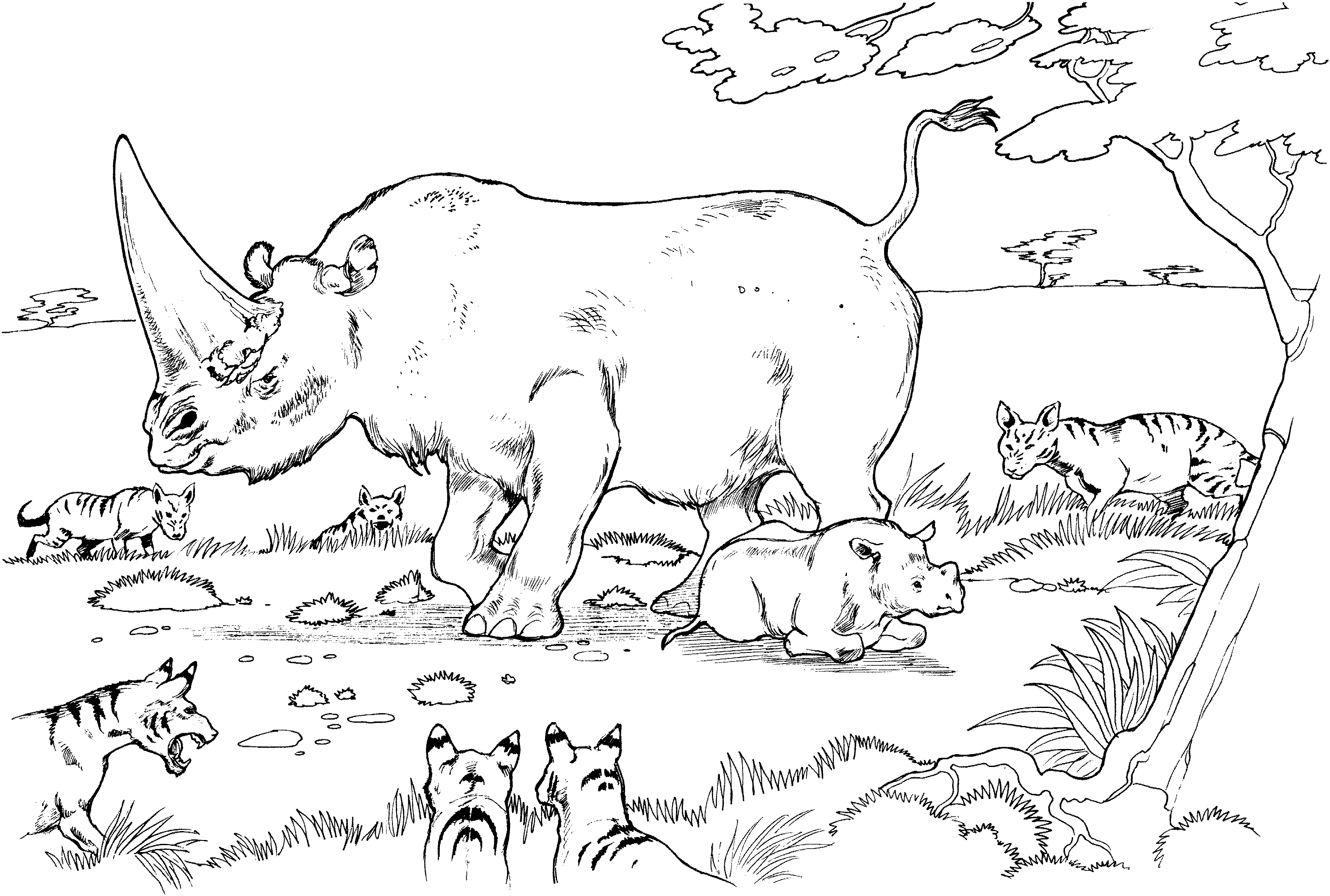 Free rhino coloring pages