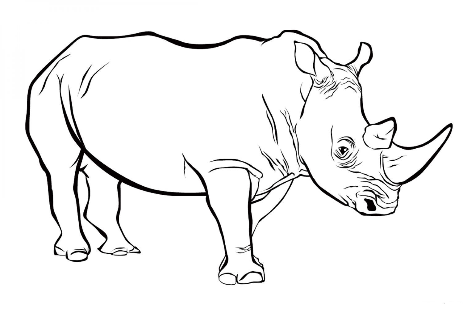 Painting of a large rhinoceros coloring page animal printables animal art outline drawings