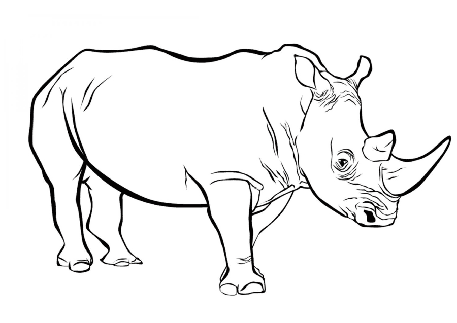 Realistic animal coloring pages printable for free download
