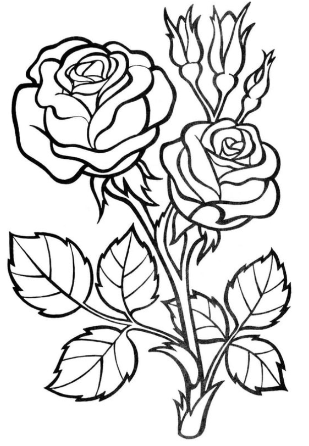 Pin auf flowers coloring pages