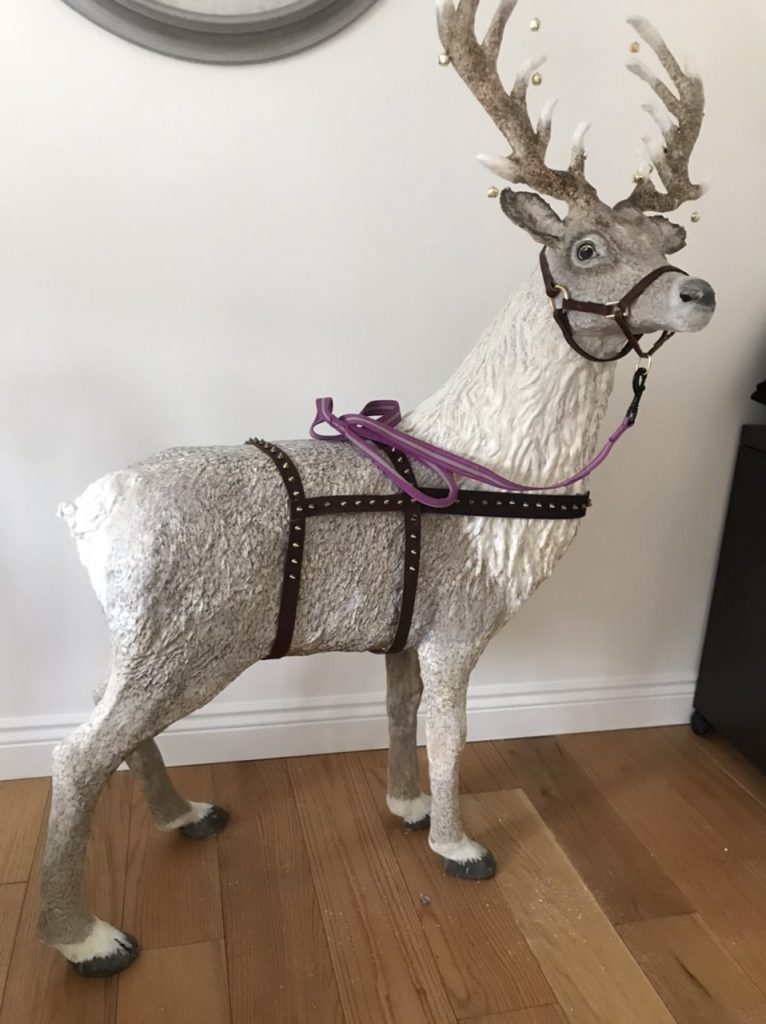 Christmas reindeer â ultimate paper mache