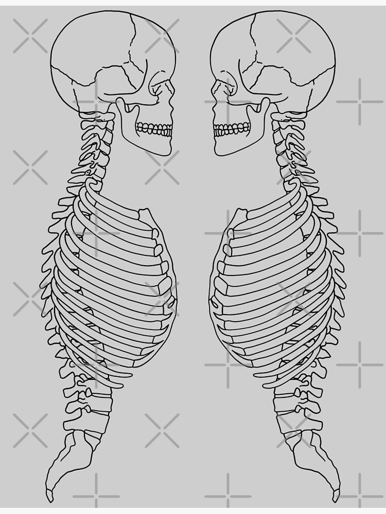 Skeleton profile greeting card for sale by deanomite