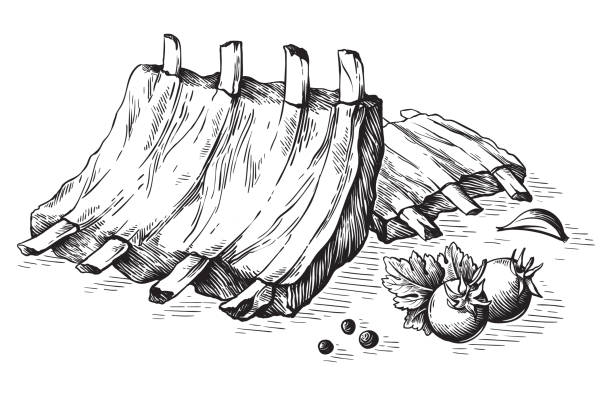 Pork ribs stock illustrations royalty