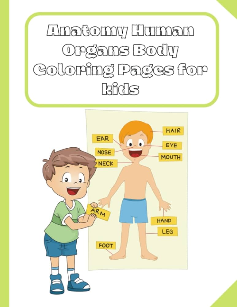 Anatomy human organs body coloring pages for kids boost your childs knowledge of anatomy with fun coloring activity educational coloring pages for to the bodys systems and organs for kids nixon