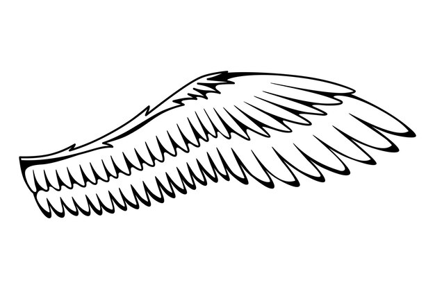 Page wings line drawing images