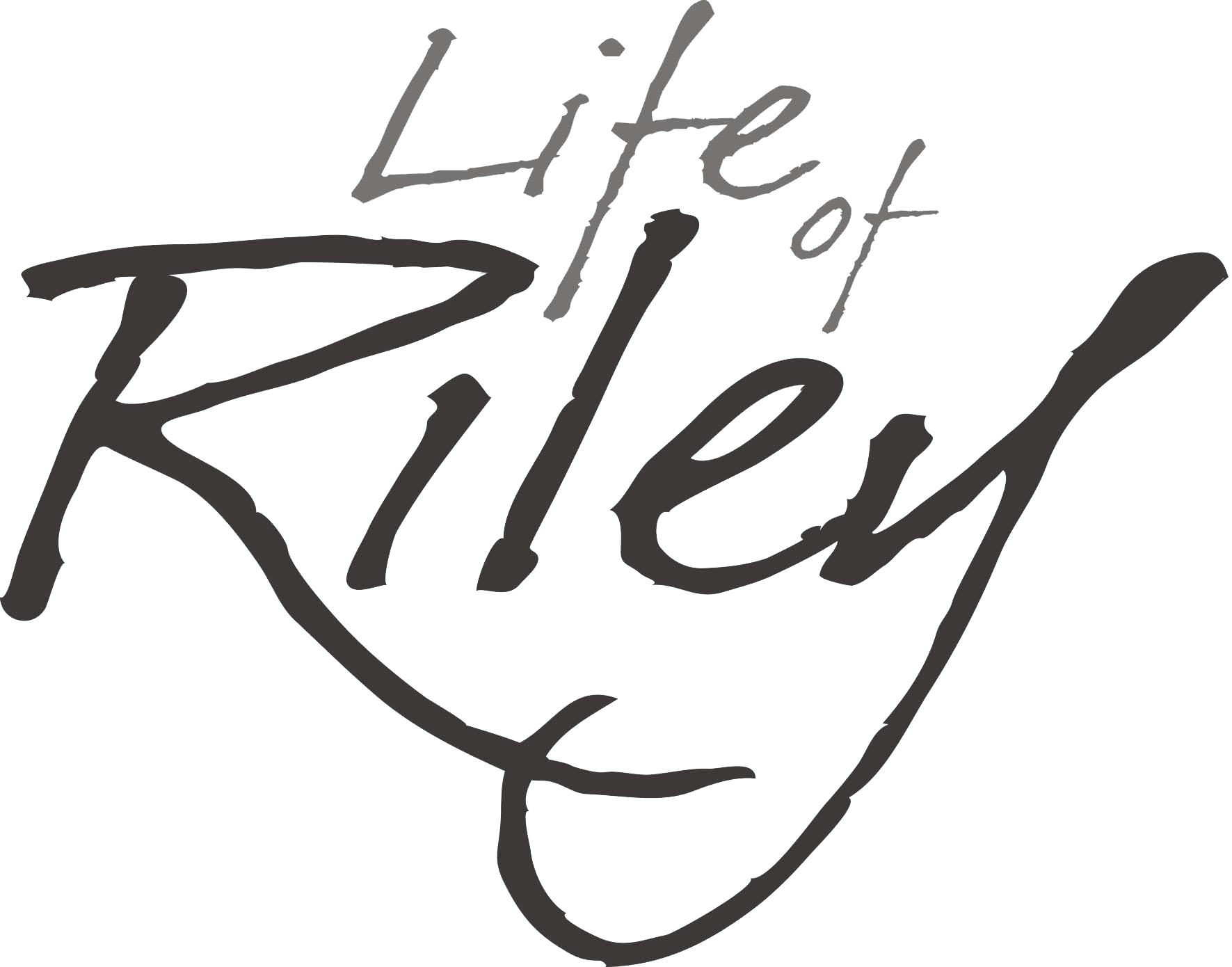Leather gifts and home accessories life of riley