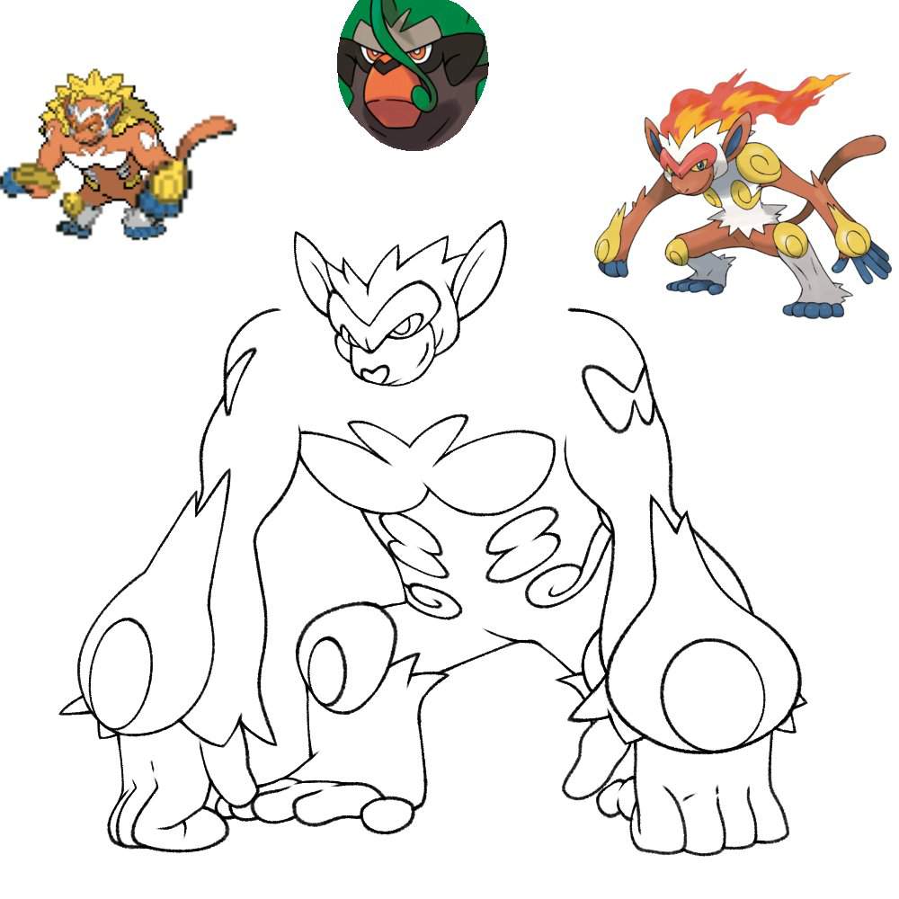 Infernape rillaboom fusion pokãmon amino