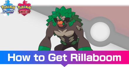 Rillaboom