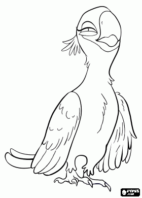 Rio coloring page the beautiful jewel is a female macaw in the movie rio coloring page bird coloring pages free coloring pages coloring pages