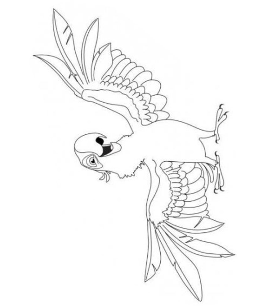 Kids under rio coloring pages