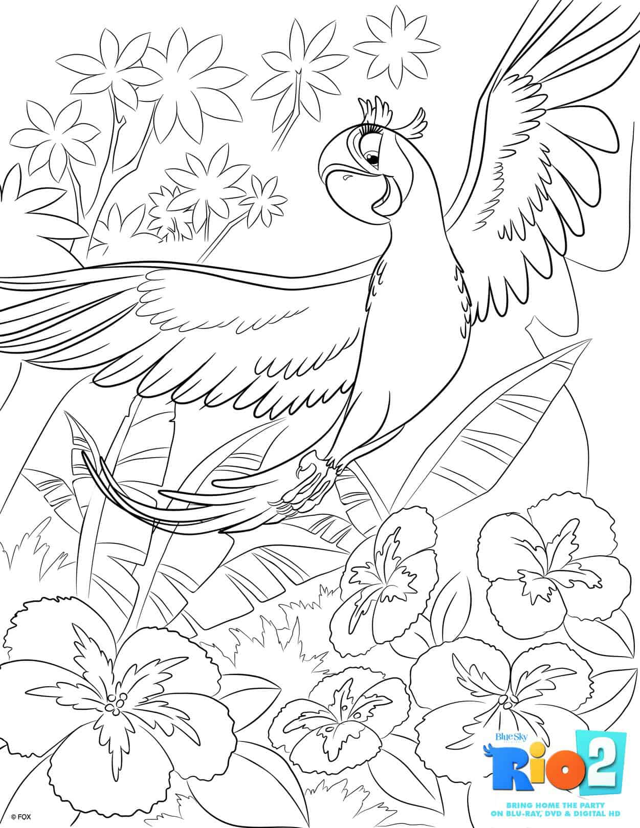 Rioinsiders â free printable rio coloring sheetsâ fheinsiders