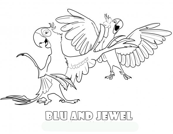 Animals coloring pages rio bird the movie coloring pages picture idea to kids