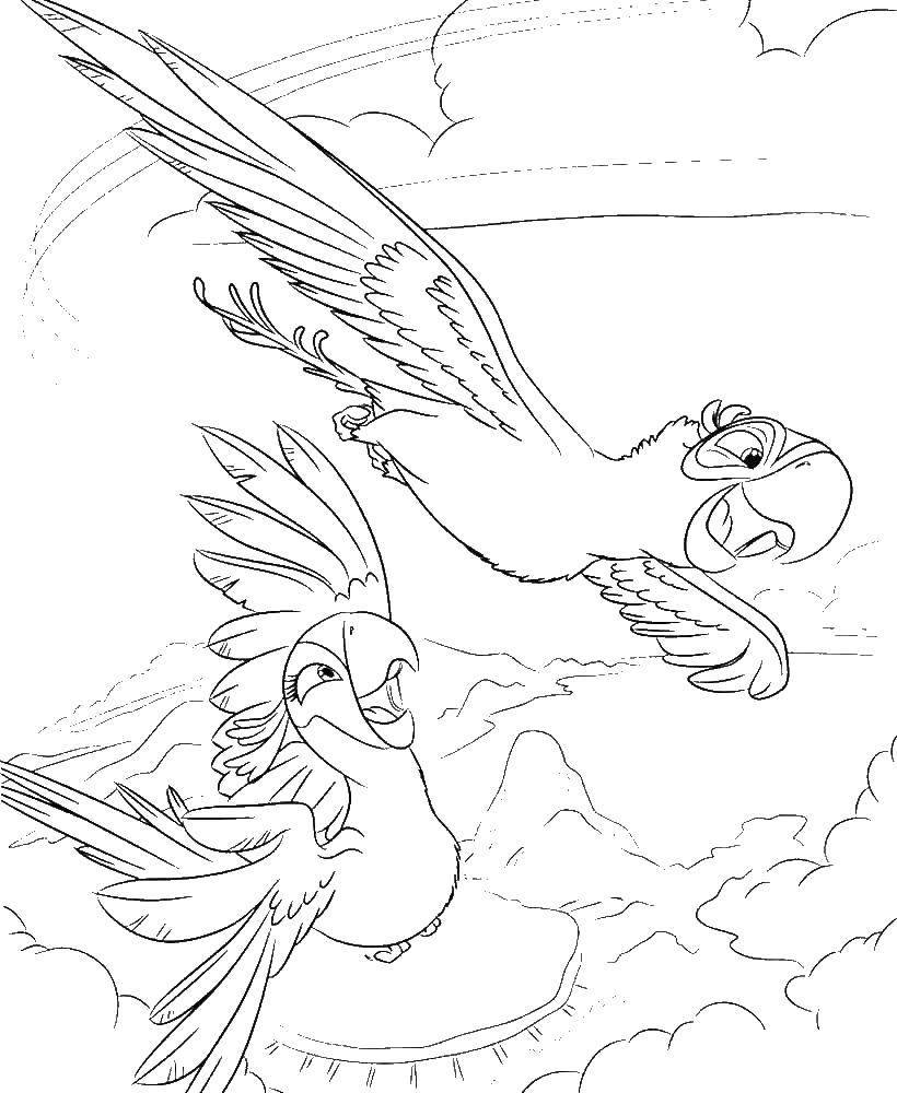 Online coloring pages coloring page blu and jewel rio coloring pages for kids