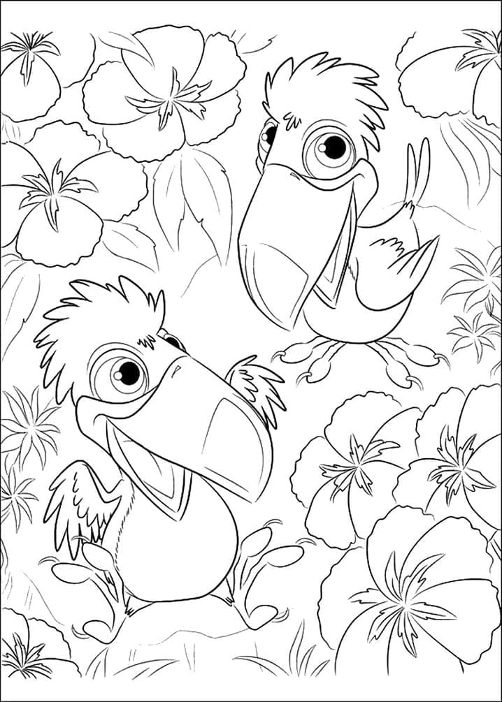 Cute birds from rio coloring page