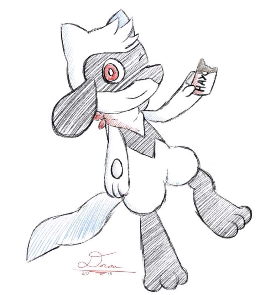 Leon the riolu pokãmon amino