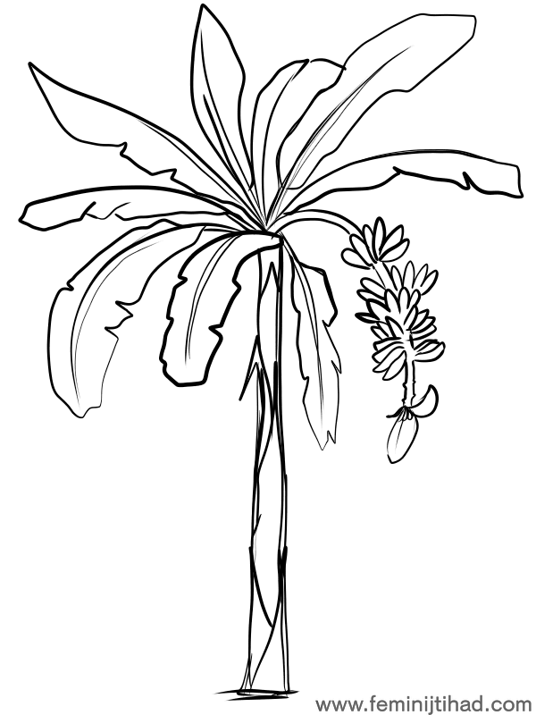 Free banana coloring pages pdf to print