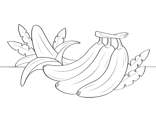 Free printable banana coloring page download it from httpsmuseprintablesdownloadcoloring