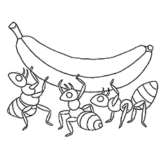 Top free printable banana coloring pages online