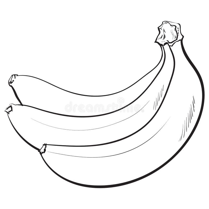 Bananas stock illustrations â bananas stock illustrations vectors clipart