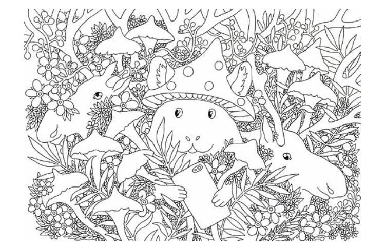 Â with a passion for adult coloring books